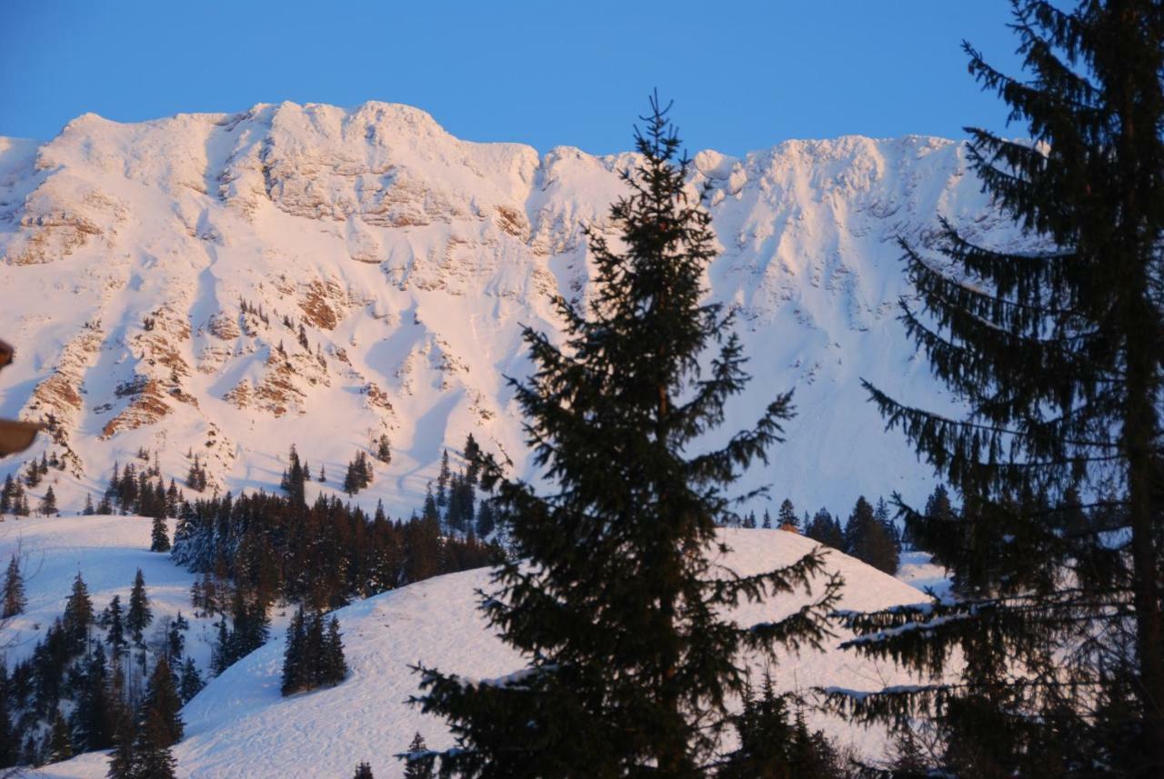 Fewo Heitmann Oberjoch Exterior photo